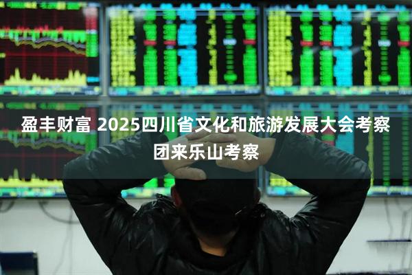 盈丰财富 2025四川省文化和旅游发展大会考察团来乐山考察