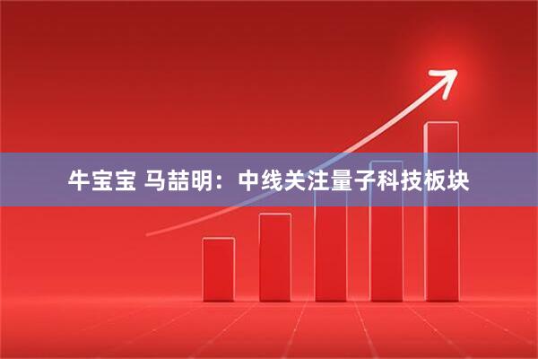 牛宝宝 马喆明：中线关注量子科技板块
