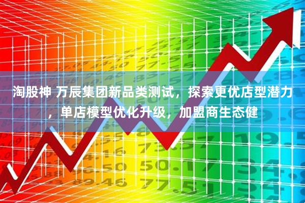 淘股神 万辰集团新品类测试，探索更优店型潜力，单店模型优化升级，加盟商生态健